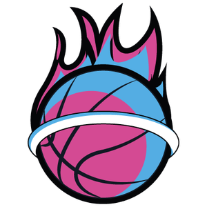 nano_team_snapshot_basketball_5_10135_nano.png