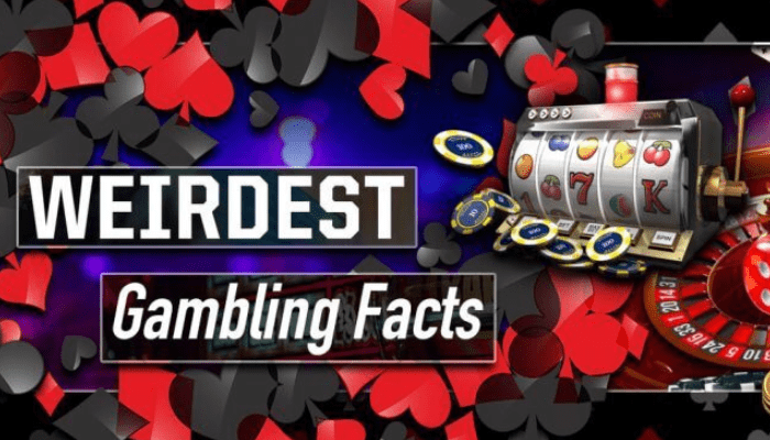 The-Weirdest-Gambling-Facts-You-Probably-Never-Knew.png